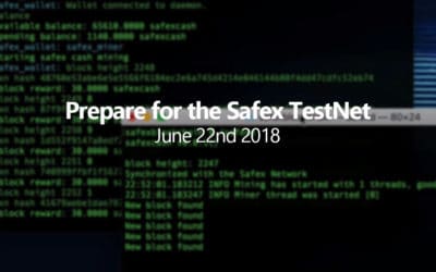 Prepare for the Safex TestNet